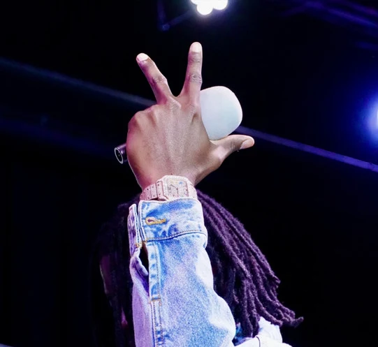 Ruzy Dark raising a microphone under stage lights